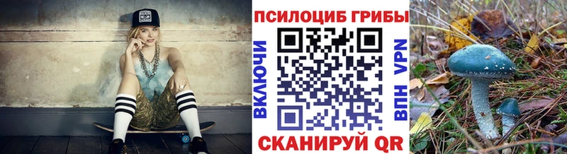 Галлюциногенные грибы MAGIC MUSHROOMS  Курчалой 