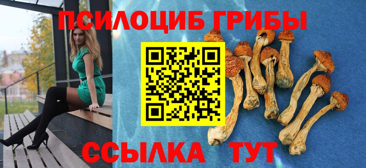 Курчалой  Псилоцибиновые грибы ЛСД  Вход с VPN 