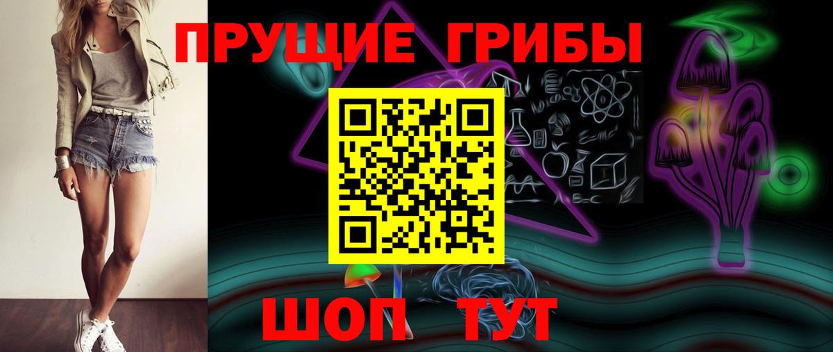 Галлюциногенные грибы мицелий Курчалой